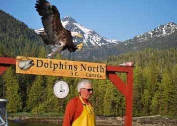 Wildlife Viewing - birds