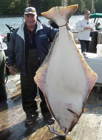 130 lb Halibut 130 lb Halibut