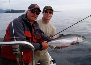 Coho on the cast fly