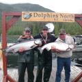 38 and 39 lb King or spring Salmon, June 2010