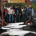 Nice bunch of Halibut and a 50 lb King Salmon, 2008
